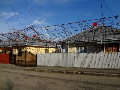 Falticeni maison 40