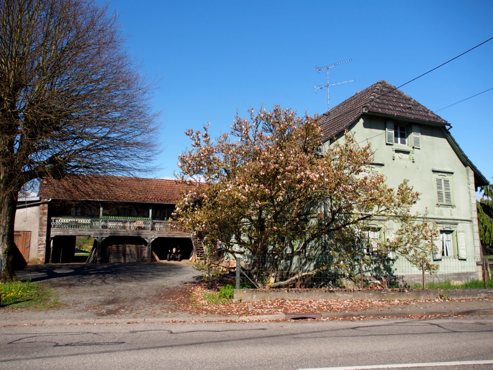 Farmhouse in Rue du Tilleul, Fontaine, photo 3