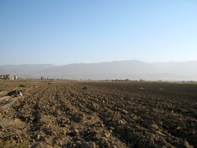 Farm - north suburb of Nishapur - near Yaghma Town 01