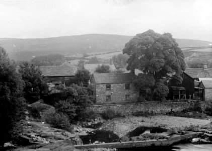 Farm (1294580)