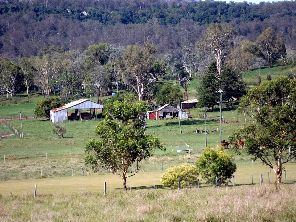 Farm buildings at Bunjurgen, Queensland