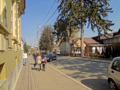 Falticeni rue du musee mihai bacescu