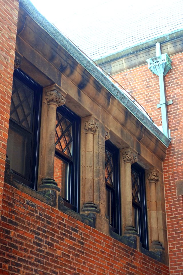 Farlow Herbarium - Harvard University - Cambridge, MA - DSC02686