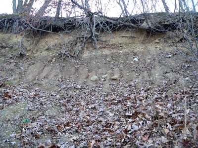 Farm Creek Section bare earth exposure 3