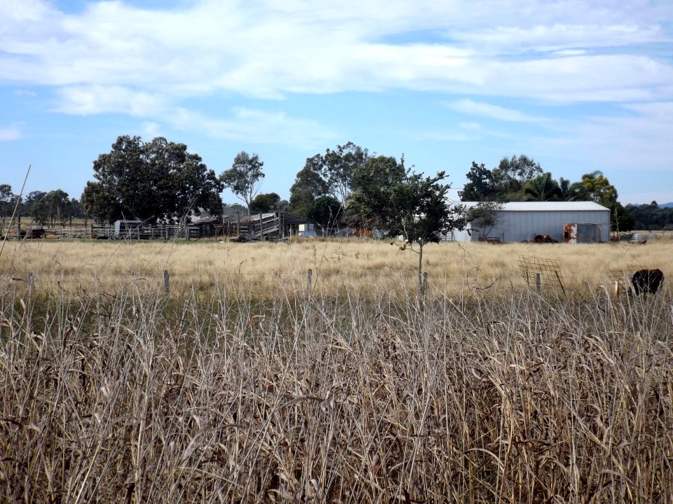 Farm buildings Rosewood Queensland