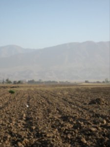 Farm - north suburb of Nishapur - near Yaghma Town 07