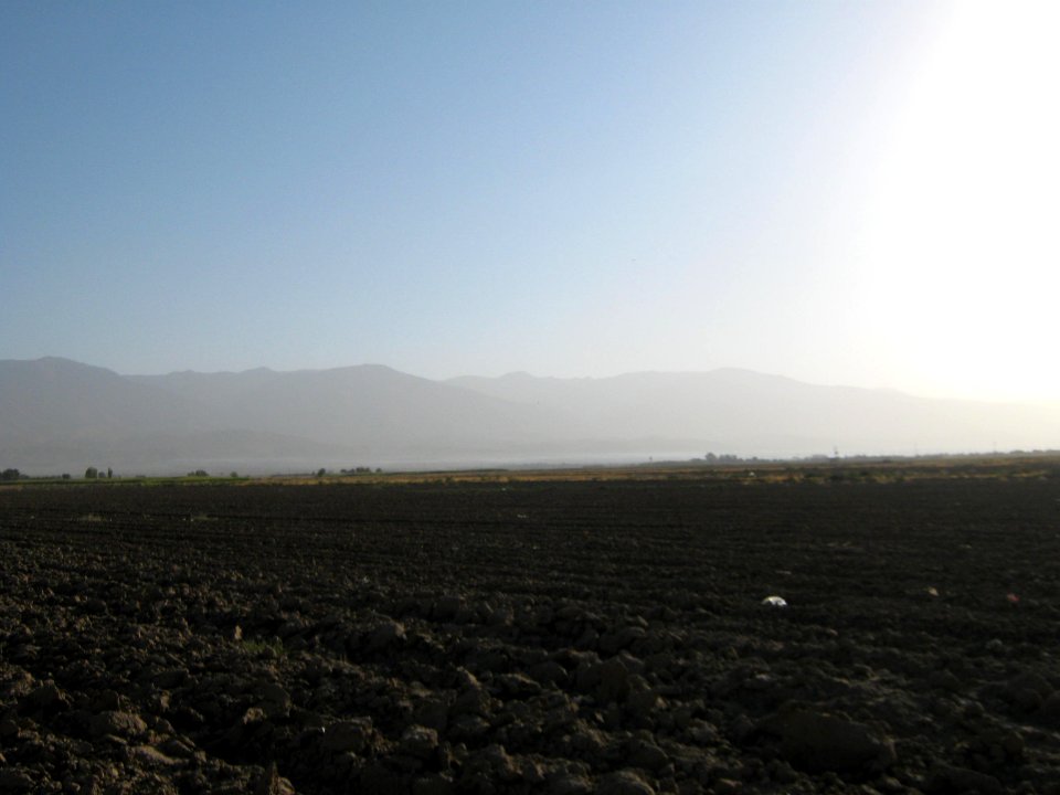 Farm - north suburb of Nishapur - near Yaghma Town 06