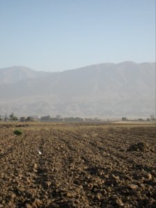 Farm - north suburb of Nishapur - near Yaghma Town 08