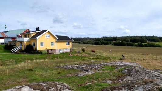 Farm and landscape in Immestad