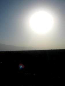 Farm - north suburb of Nishapur - near Yaghma Town 14
