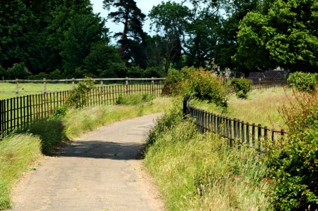 Farm-road-Childwickbury-20050613-012