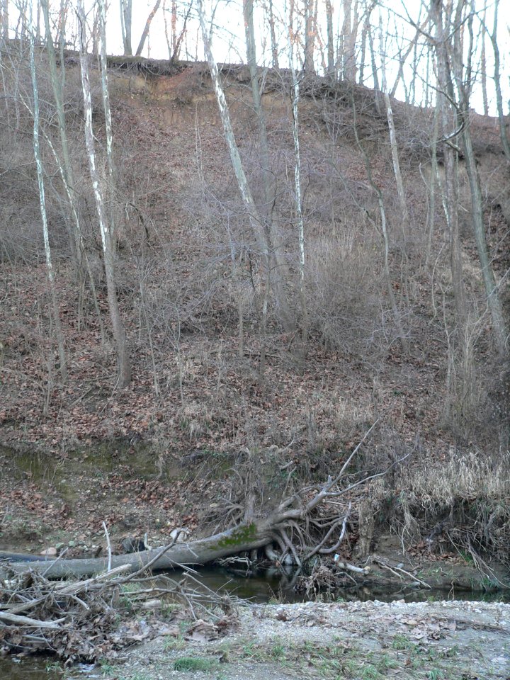 Farm Creek Section bare earth exposure 1