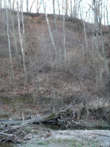 Farm Creek Section bare earth exposure 1