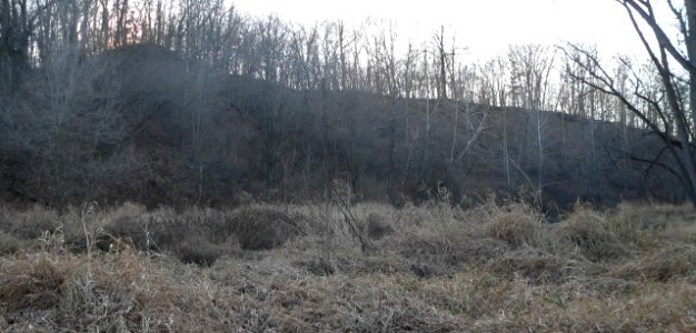 Farm Creek Section from NE 1