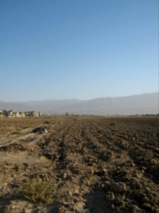 Farm - north suburb of Nishapur - near Yaghma Town 02