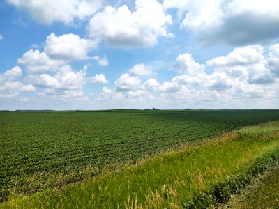 Farmland in Weaver Township, Humboldt County, Iowa