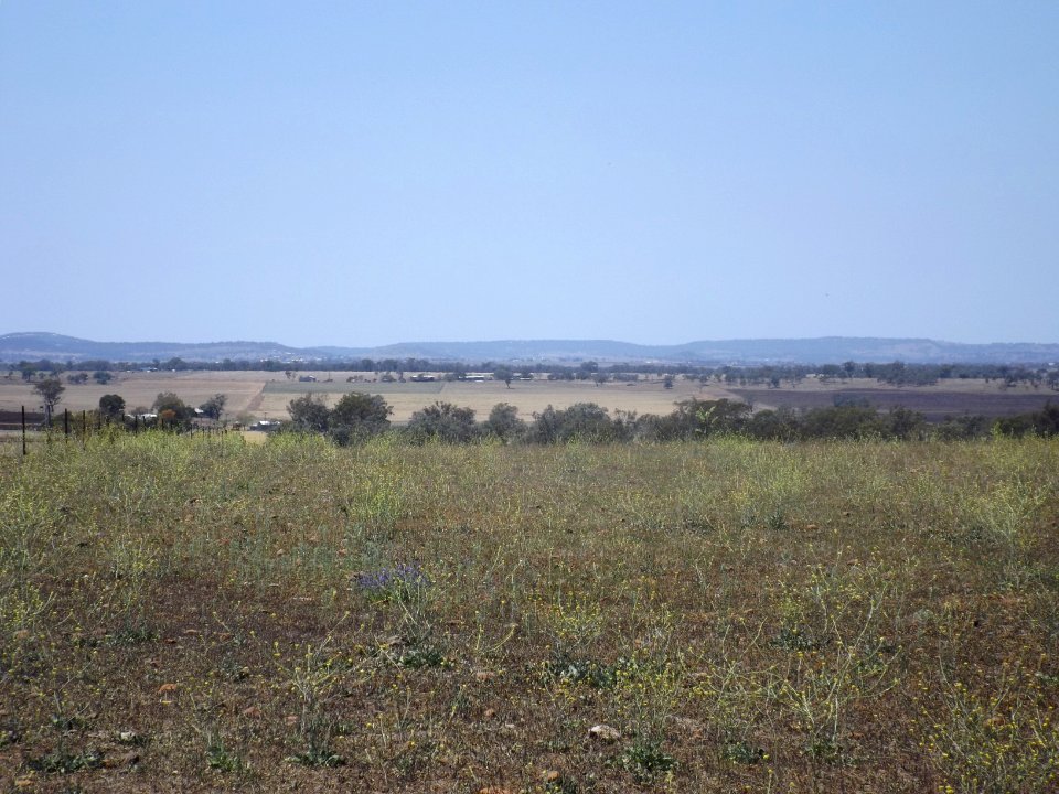 Farmland at Southbrook