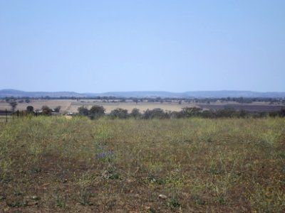 Farmland at Southbrook