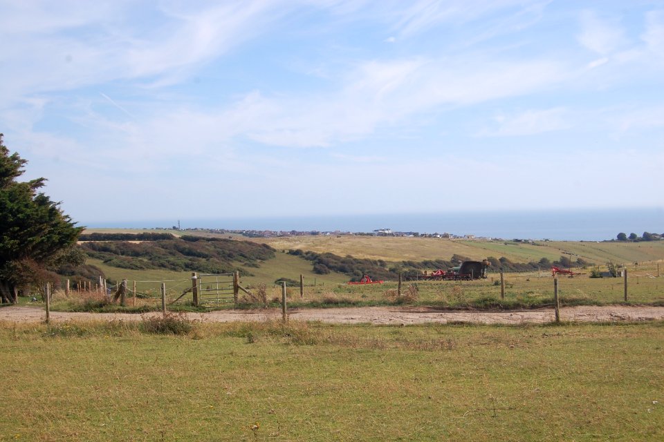Farmland near Balsdean Farm, Balsdean, Brighton (August 2019) (2)