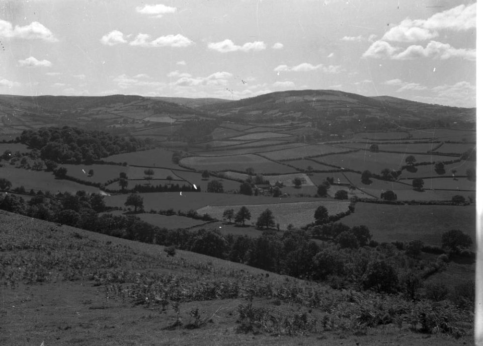 Farmland (1294923)