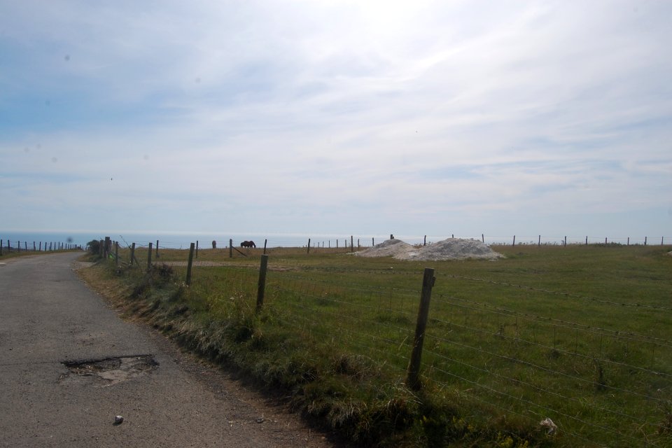 Farmland near Balsdean Farm, Balsdean, Brighton (August 2019) (1)