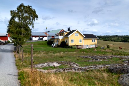 Farm in Immestad