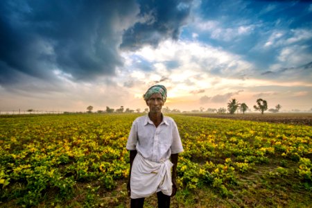 Farmer (202116649)