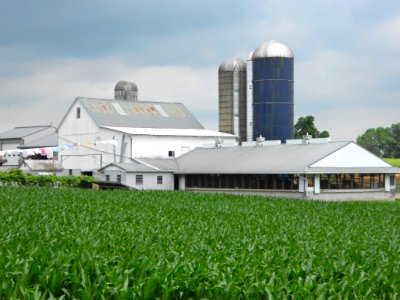 Farm White Oak Rd Sadsbury TWP LanCo PA