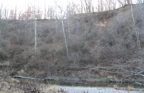 Farm Creek Section series 1 c
