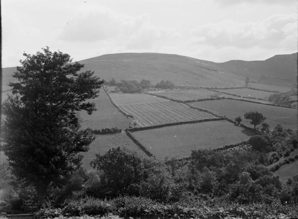 Farmland (1294515)