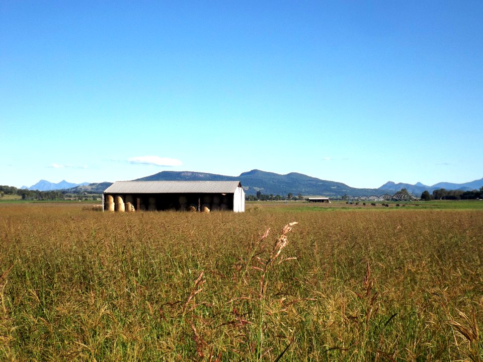Farming shed at Kents Lagoon