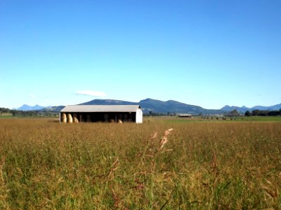Farming shed at Kents Lagoon