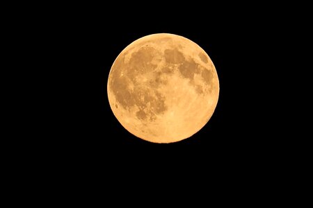Earth companion the moonlight earth