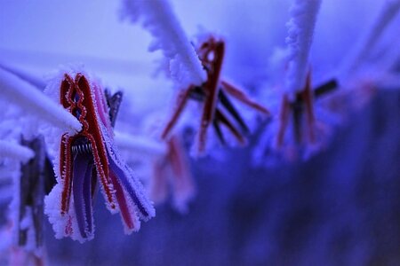 Frost clothesline plastic