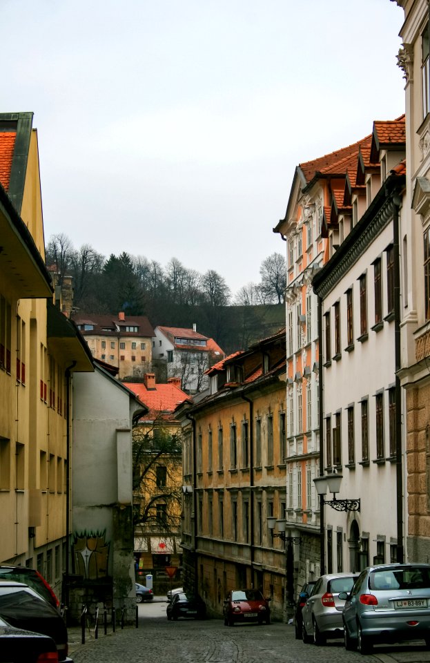 February 2008 in Ljubljana 14