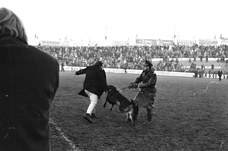 FC Utrecht tegen Feijenoord 1-2 gewonde supporter door politiehond, Bestanddeelnr 924-1588
