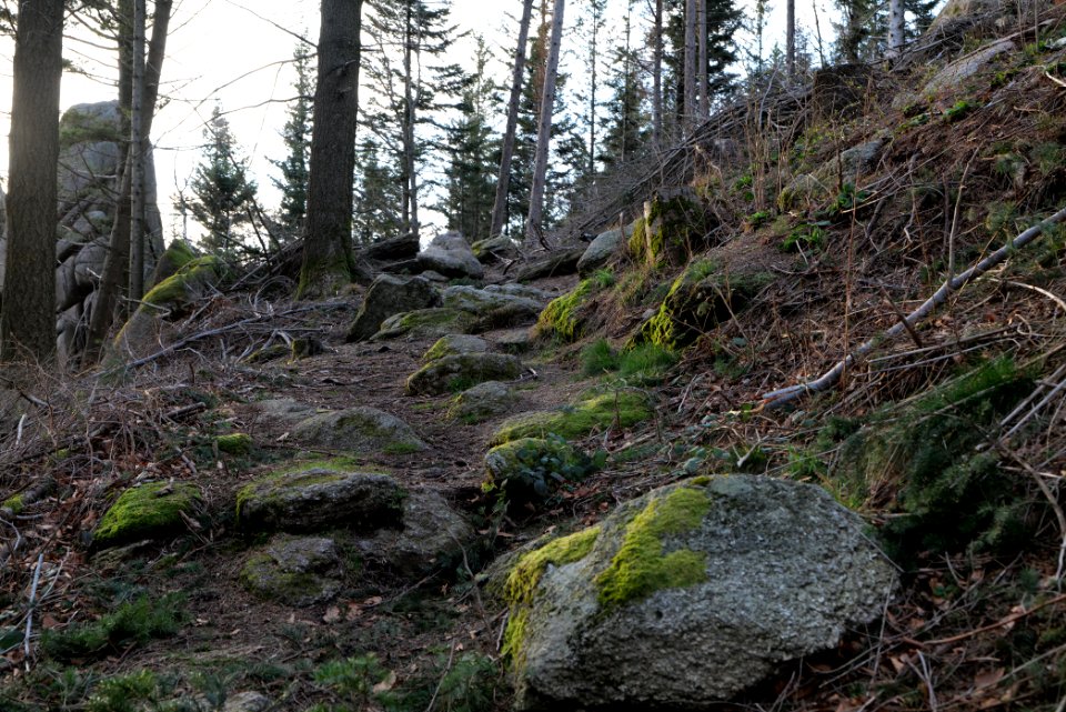 Falkenfelsen 2020-03-14 29