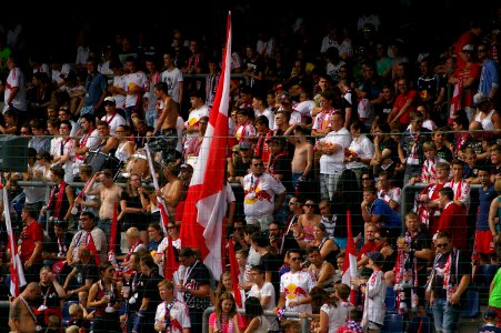 FC Red Bull Salzburg vs. SV Grödig 25