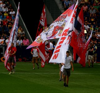 FC Red Bull Salzburg vs. SV Grödig 29