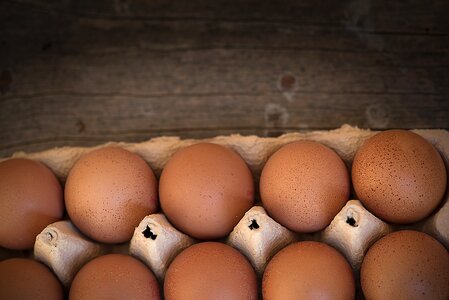 Pack food nutrition
