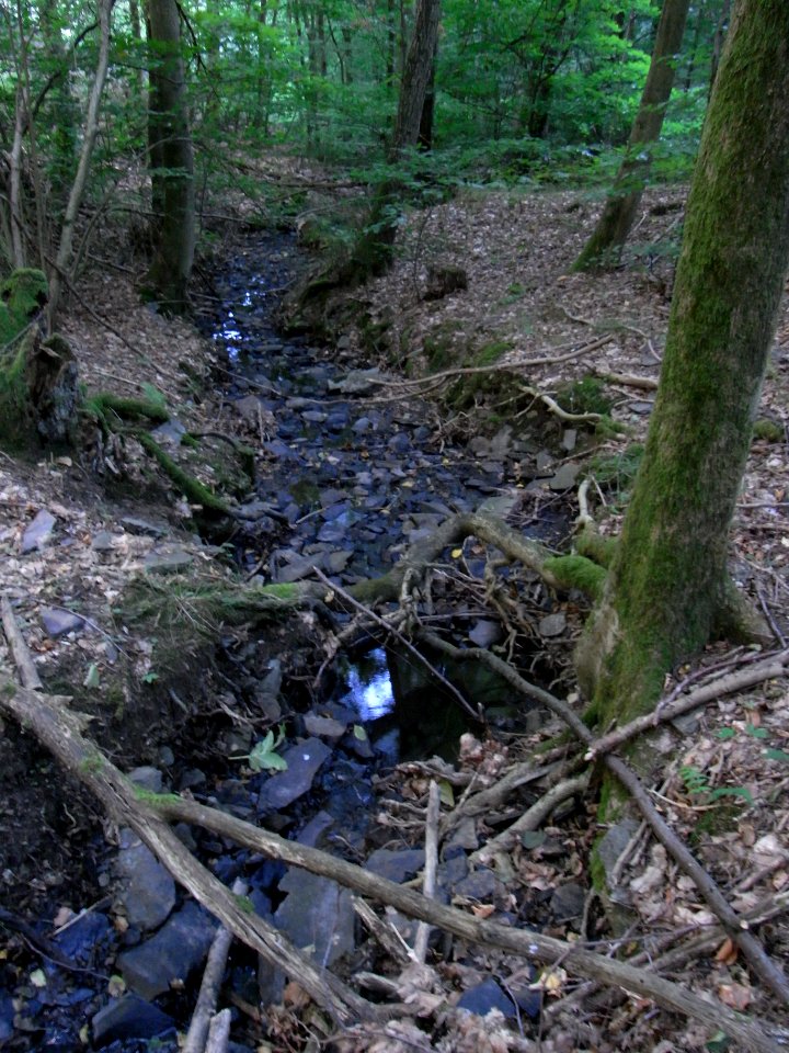 Fauerbach weit unter Durchlass R0010140