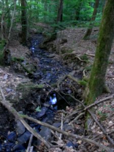 Fauerbach weit unter Durchlass R0010140
