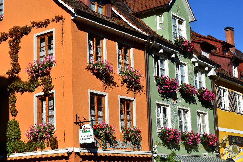 Building flowers floral decorations