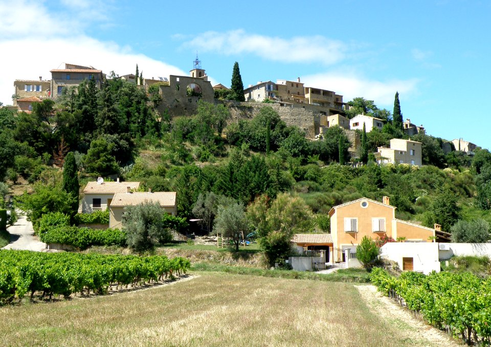 Faucon Vue d'ensemble 3
