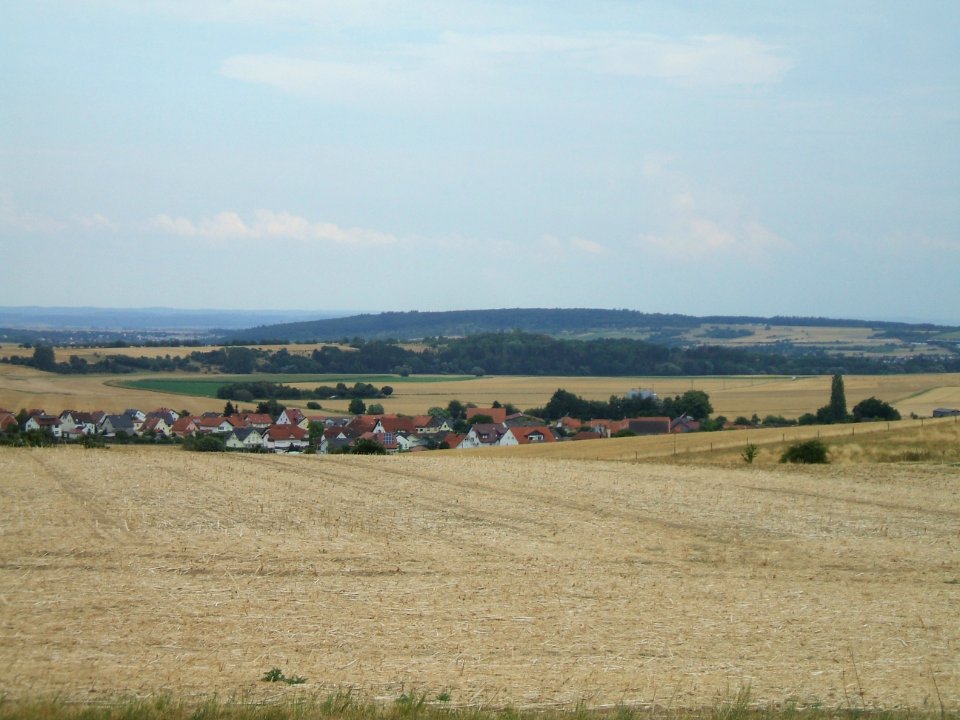 Fauerbach vor Magertriften von Ober-Mörlen 1