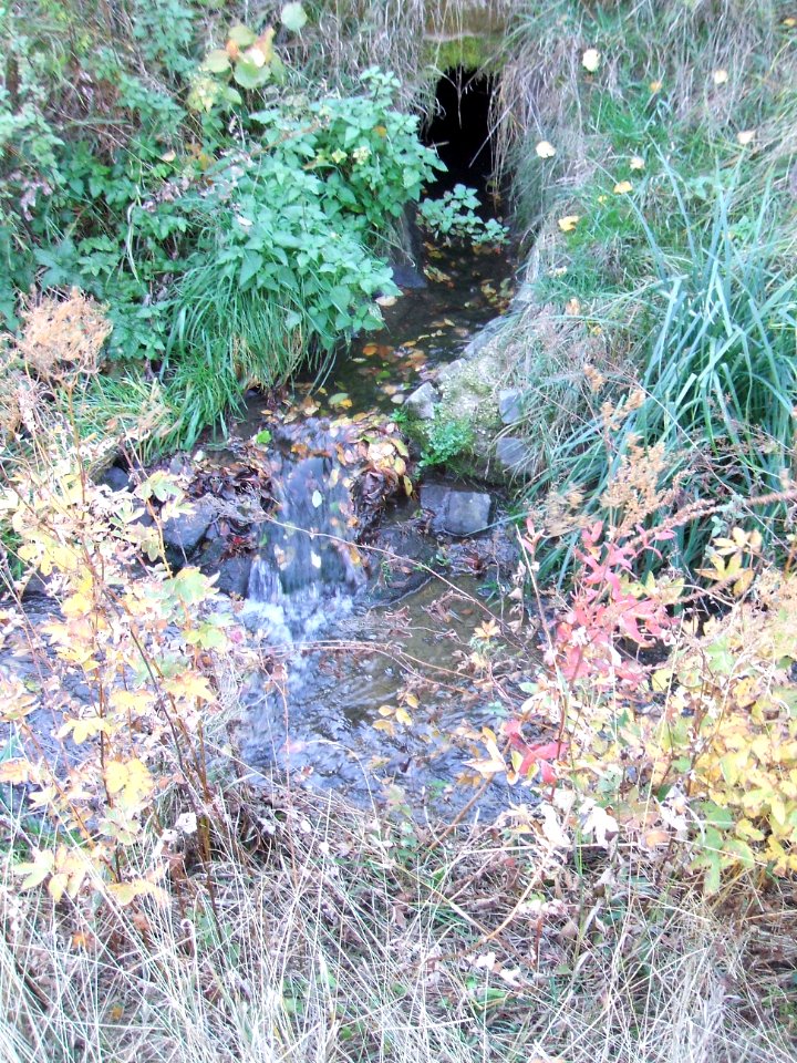 Fauerbach Auslauf Kläranlage 5