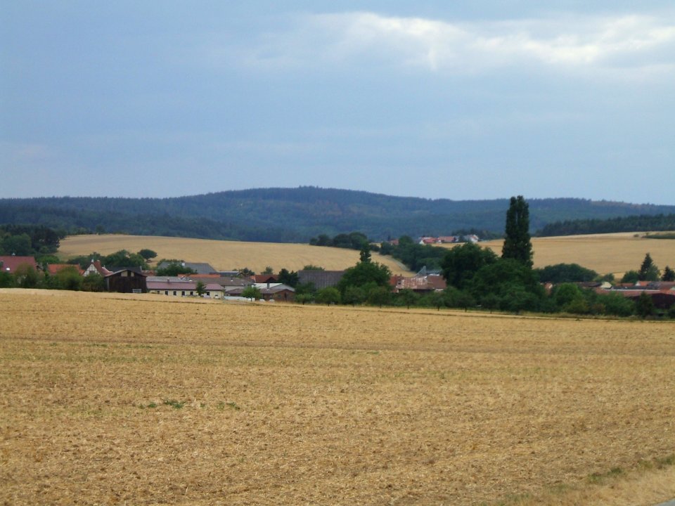 Fauerbach an Feld- und Radweg von Münster 1