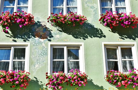 Building house window