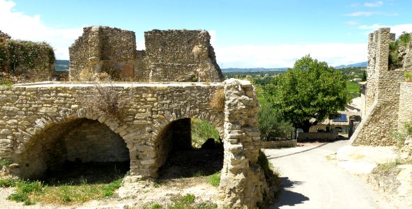 Faucon Murailles 2