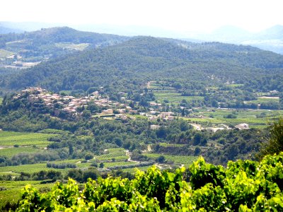 Faucon Vue d'ensemble 1